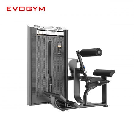 dhz-Back Extension-evogym-setup-phong-gym