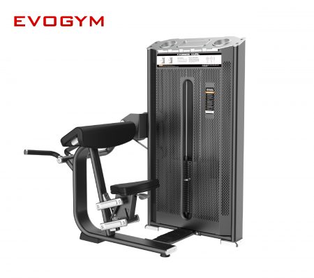 dhz-Camber Curl-evogym-setup-phong-gym