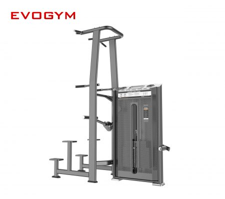 dhz-Dip Chin Assist-evogym-setup-phong-gym