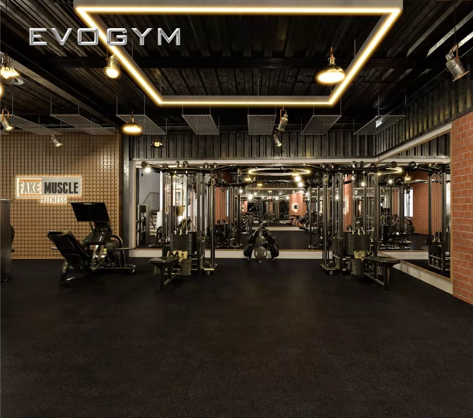 mohinh3d-fakemuscle-evogym-setup-phong-gym-11-aspect-ratio-975-861