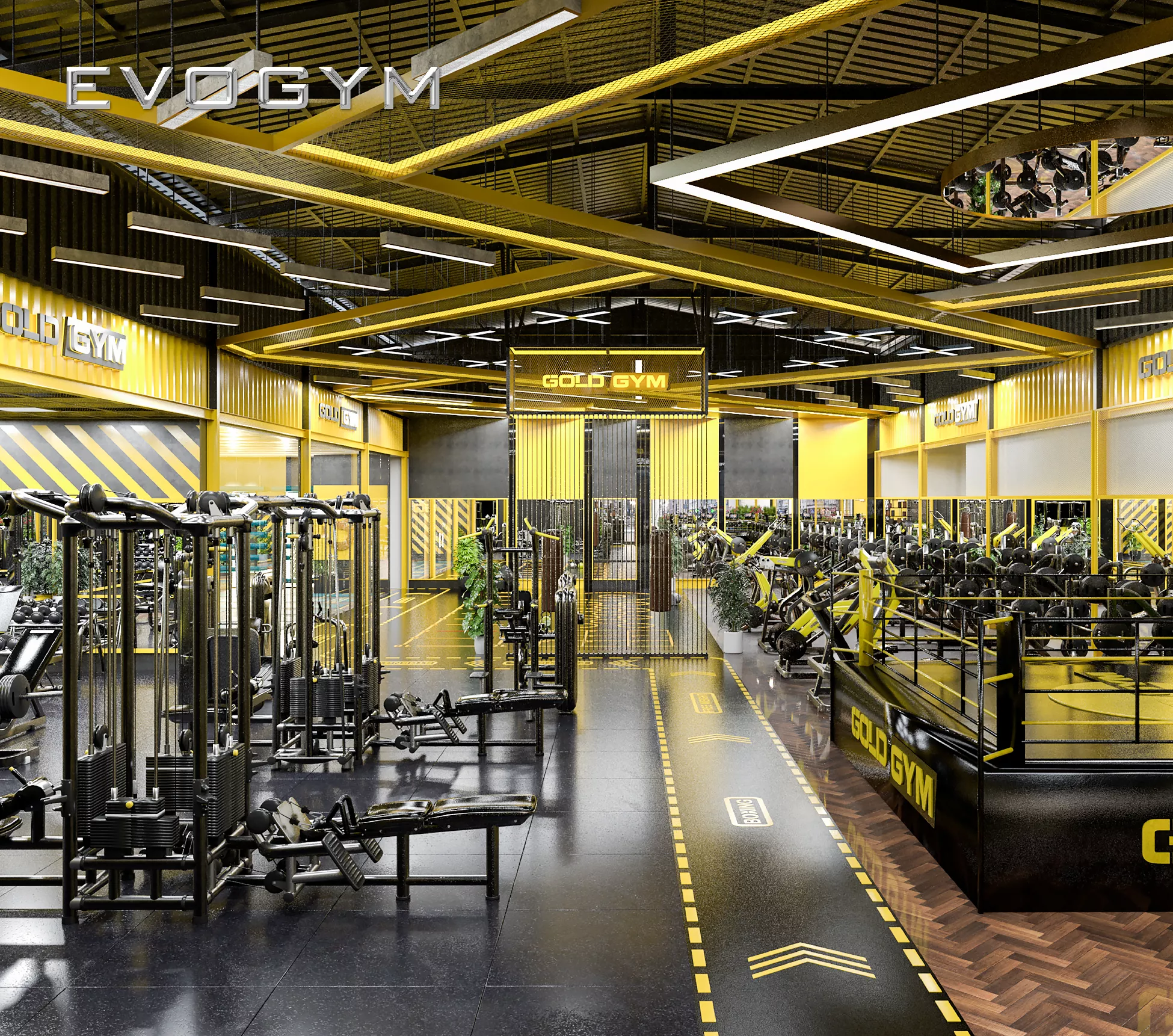 mohinh3d-goldgym-evogym-setup-phong-gym-04