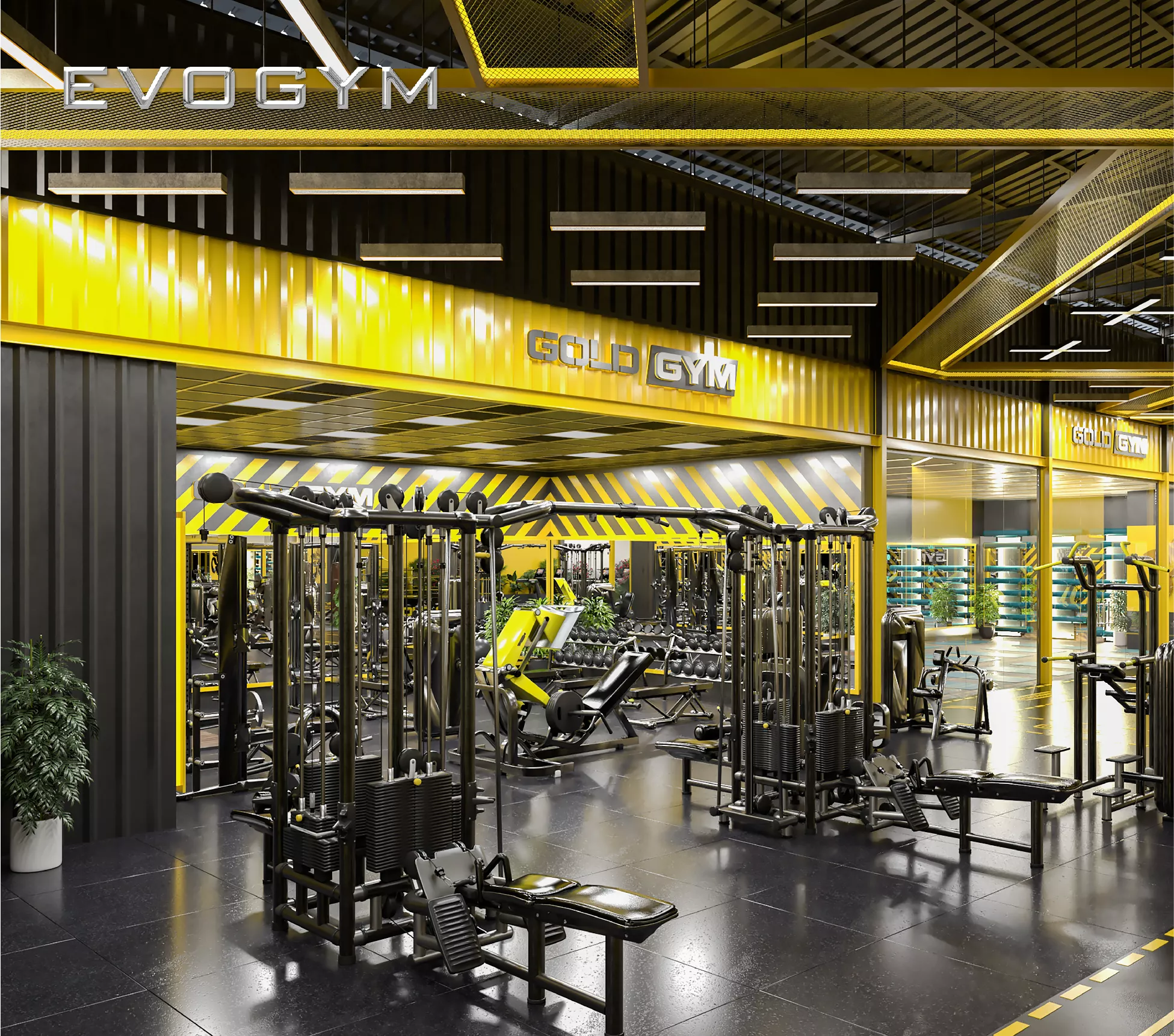 mohinh3d-goldgym-evogym-setup-phong-gym-05