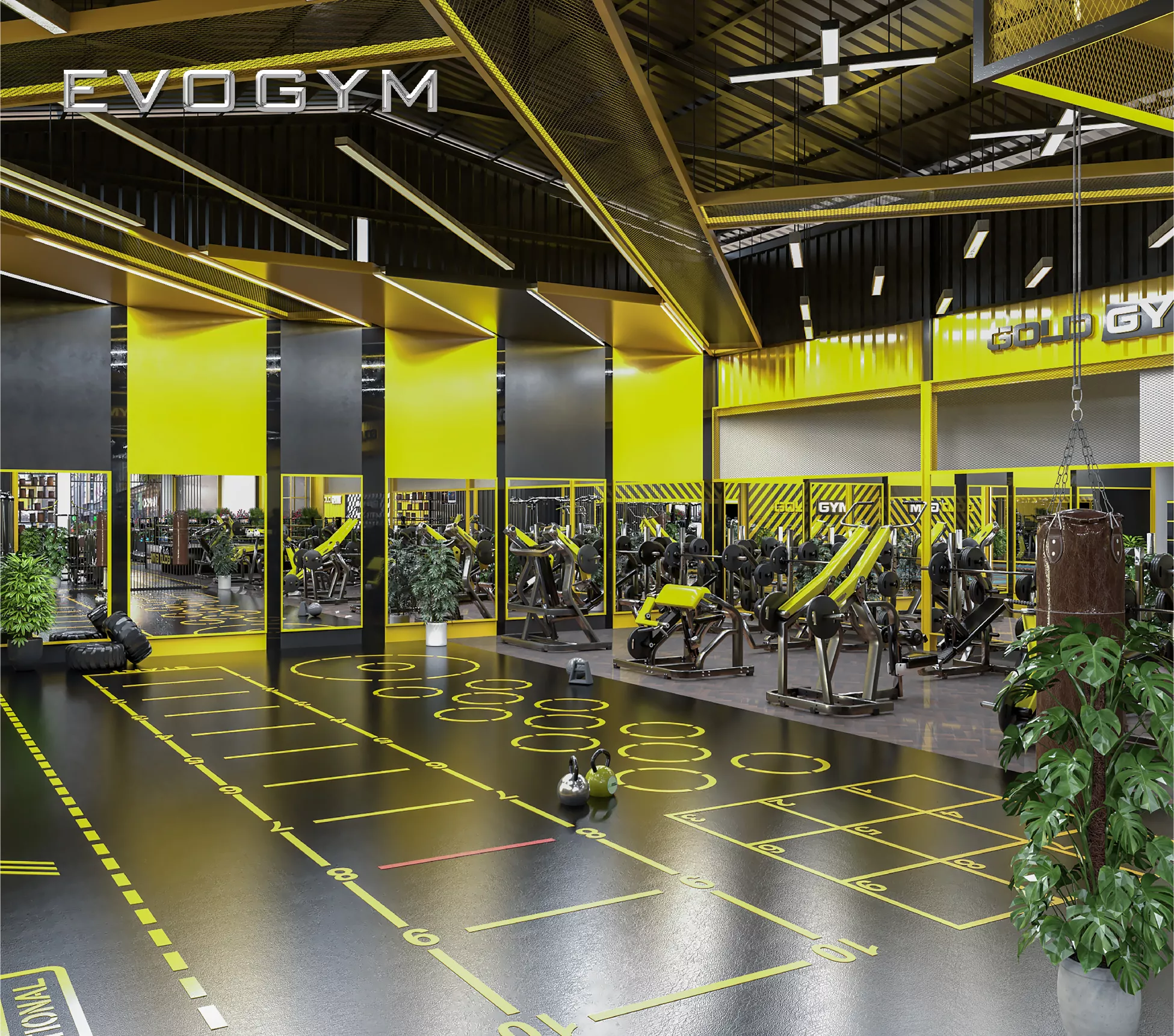 mohinh3d-goldgym-evogym-setup-phong-gym-07