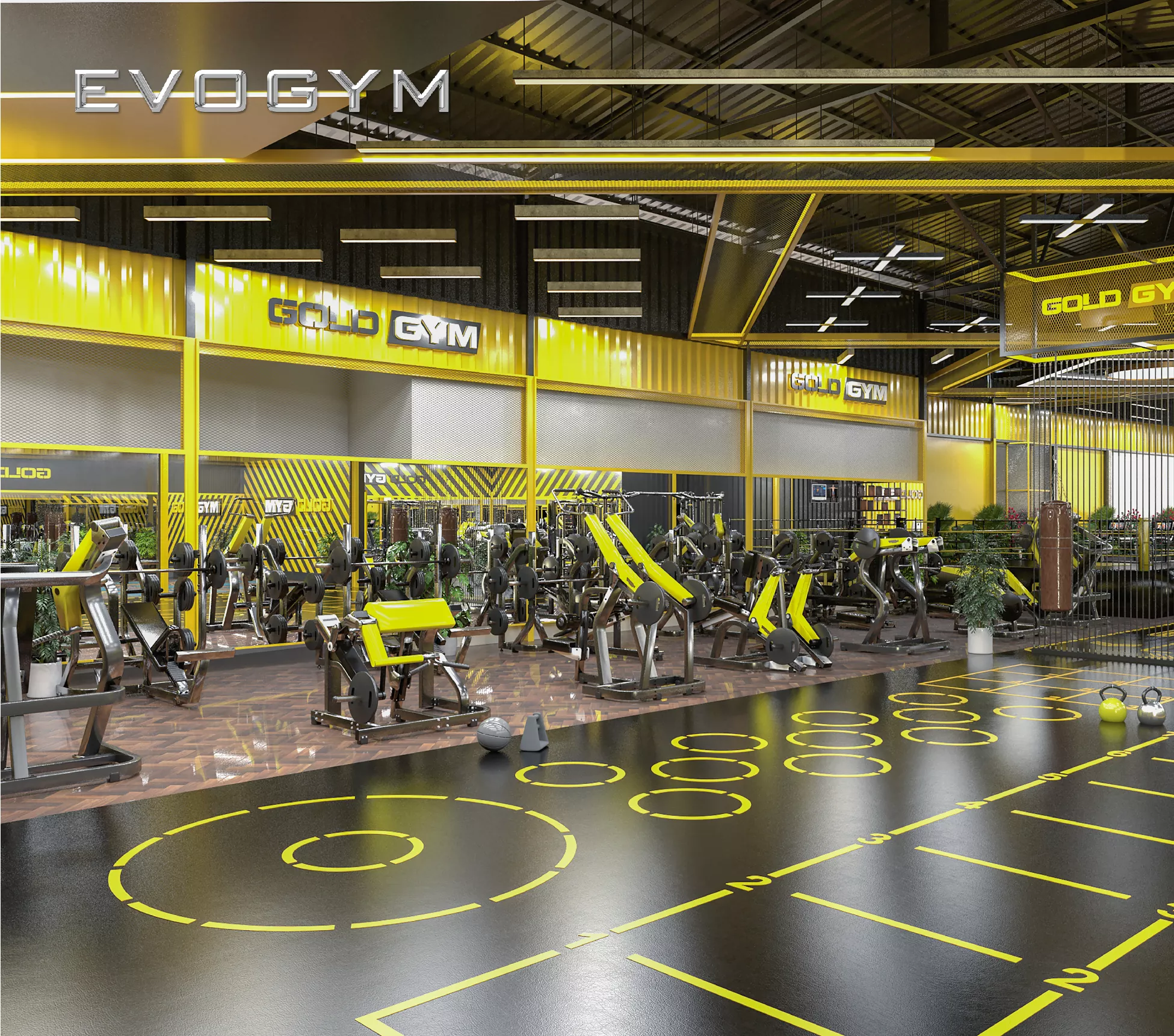 mohinh3d-goldgym-evogym-setup-phong-gym-08