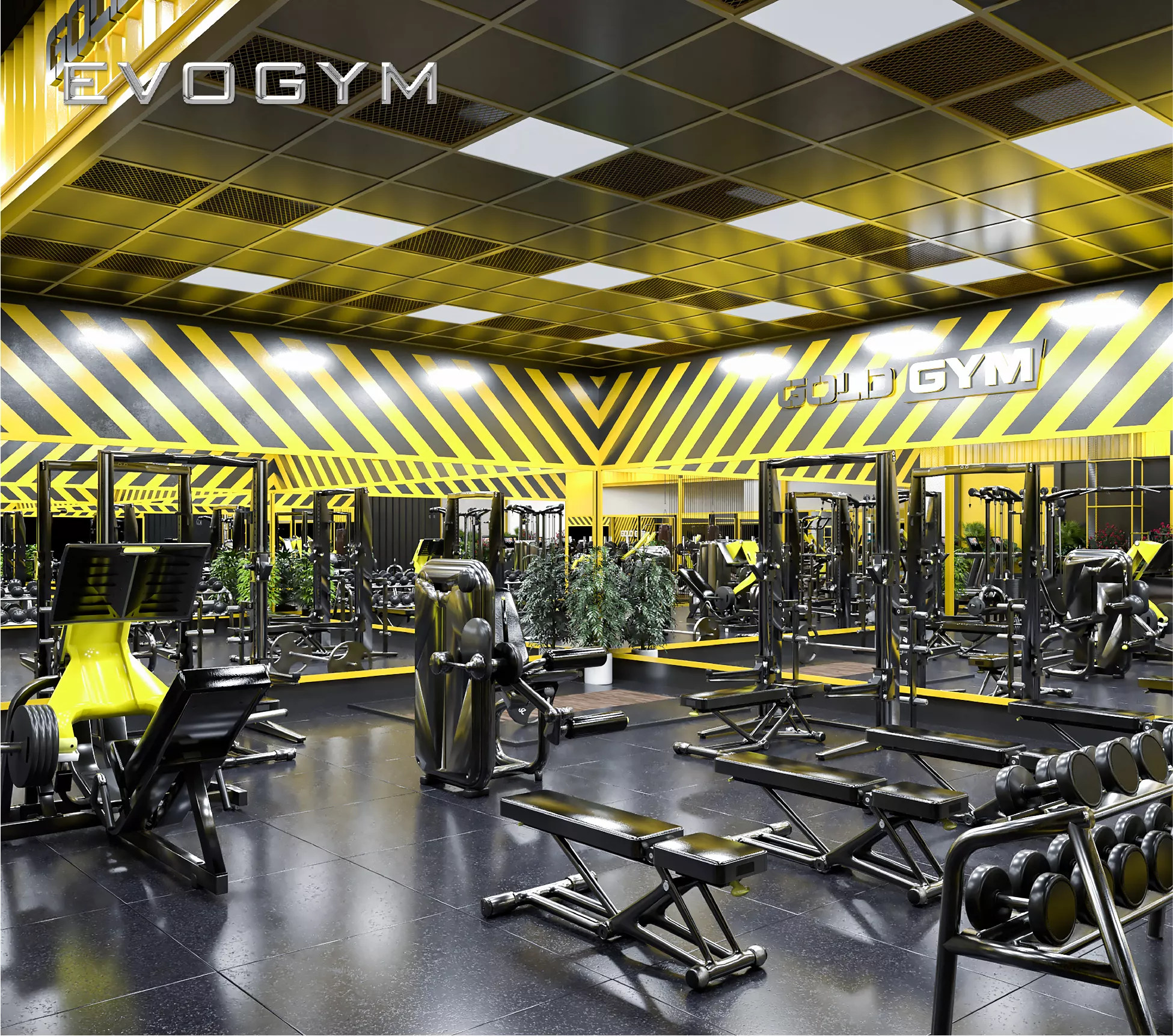 mohinh3d-goldgym-evogym-setup-phong-gym-10